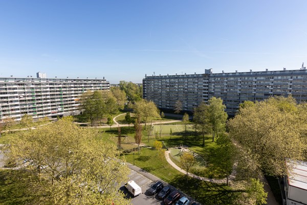 Medium property photo - Bachplein 211, 3122 KL Schiedam